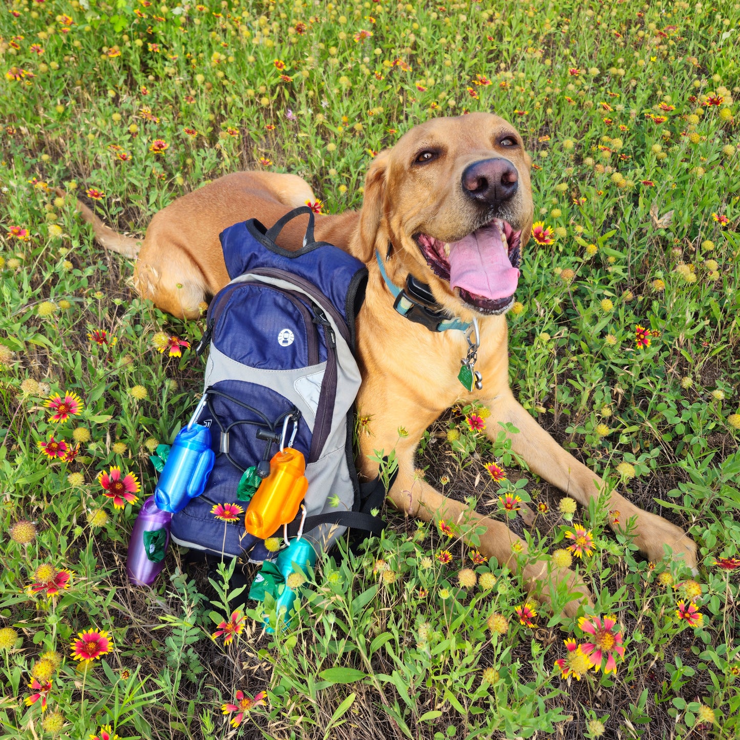 🐾Trail Caddy™ Lite – Simplified Trail Companion for Everyday Adventures